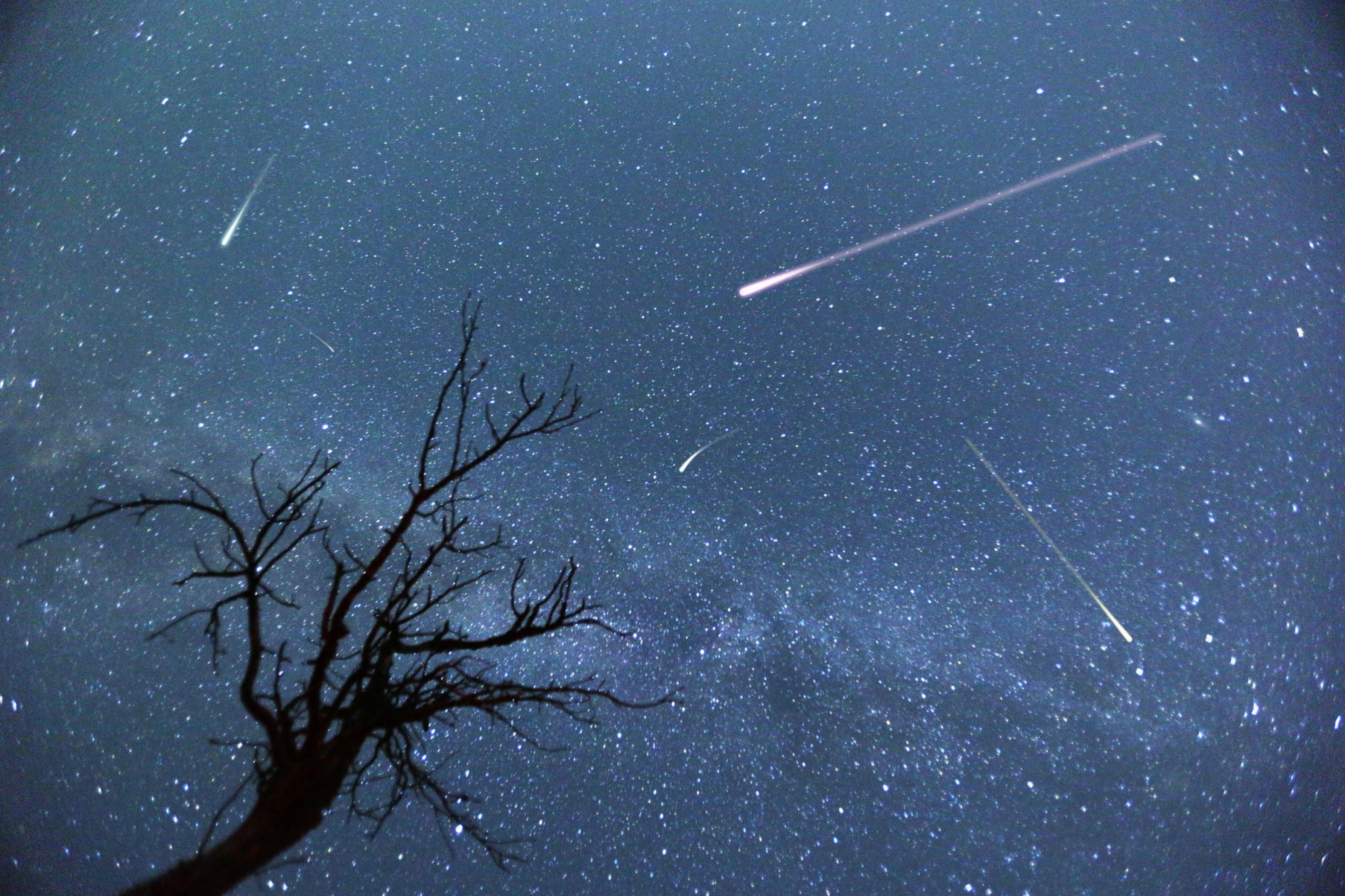Take Advantage of your Last Chance to see the Perseid Meteor Shower