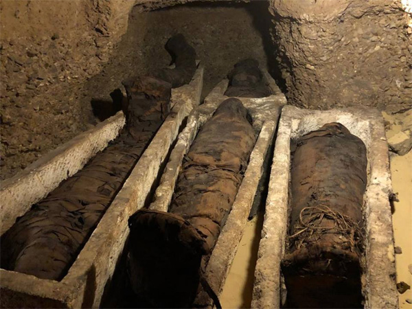 Newly Found Ancient Tombs In Egypt Revealed 40 Mummies Of More Than ...