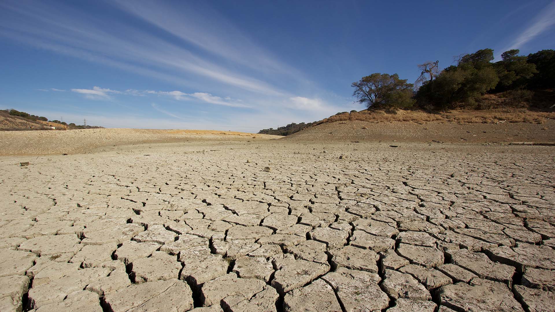 Climate Change Now Threatens Humans And Marine Life More ...