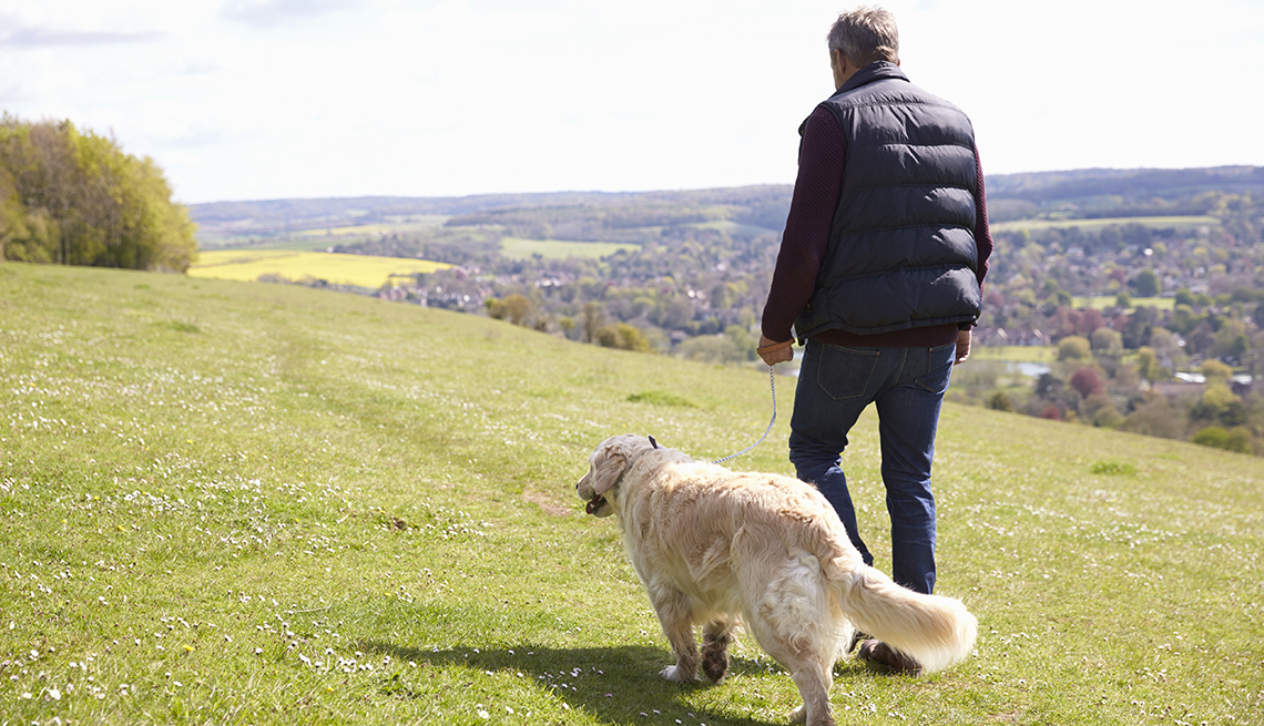 Dog Owners Present Improved Fitness, New Research Revealed - Great ...