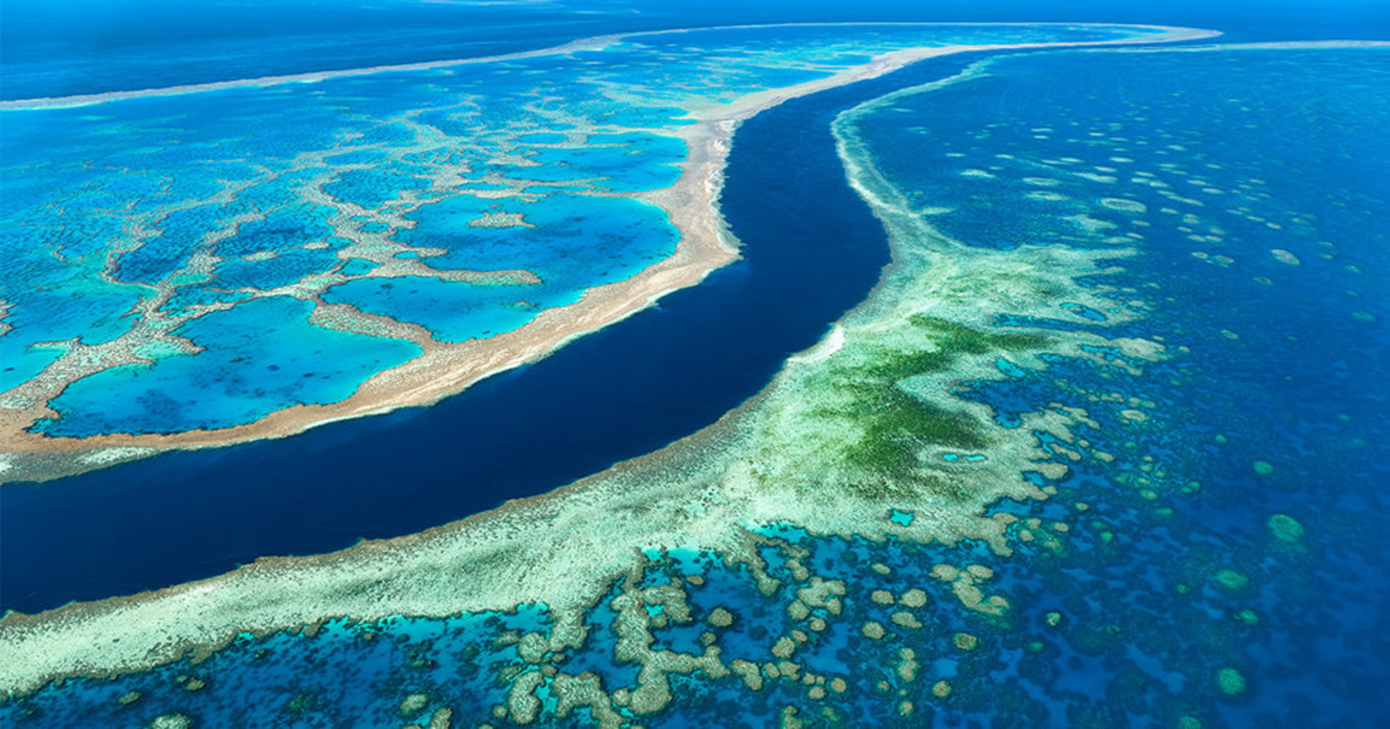 great-barrier-reef-is-migrating-south-due-to-ocean-warming-great