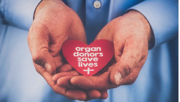 ontario-achieves-a-major-milestone-for-organ-donations-and-transplants