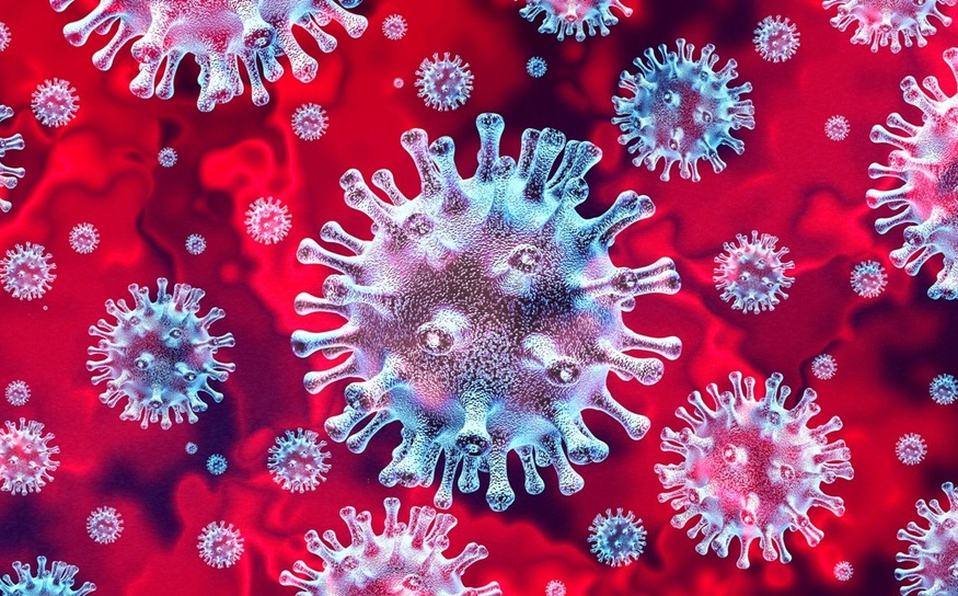 Coronavirus Cure
