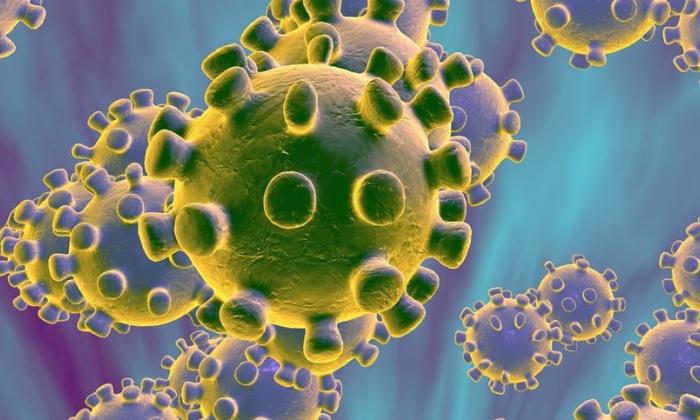 coronavirus vaccine