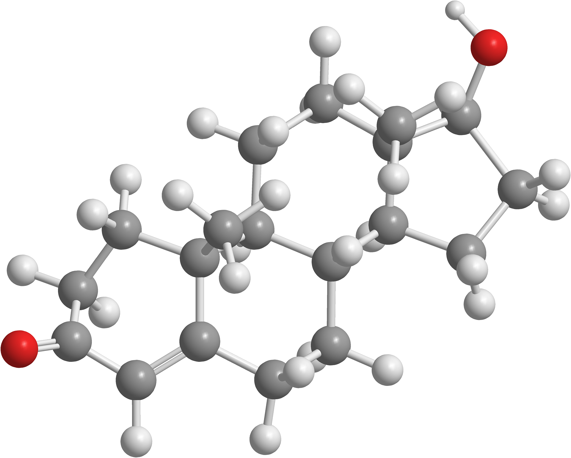 Source: Pixabay