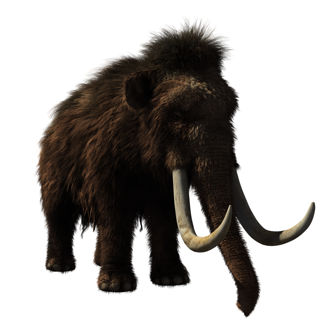 Woolly Mammoths Weren't Always Covered in Fur - Great Lakes Ledger